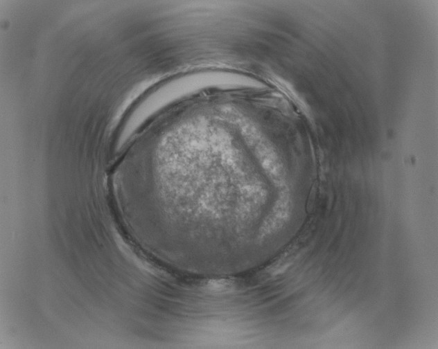 X0000074340060200609152132