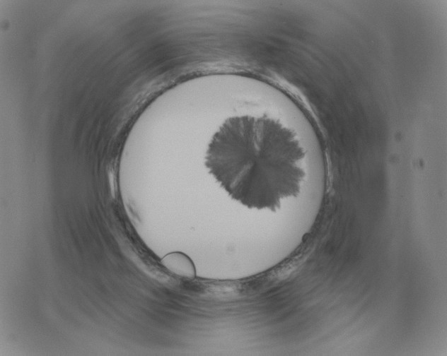 X0000074340061200609152132