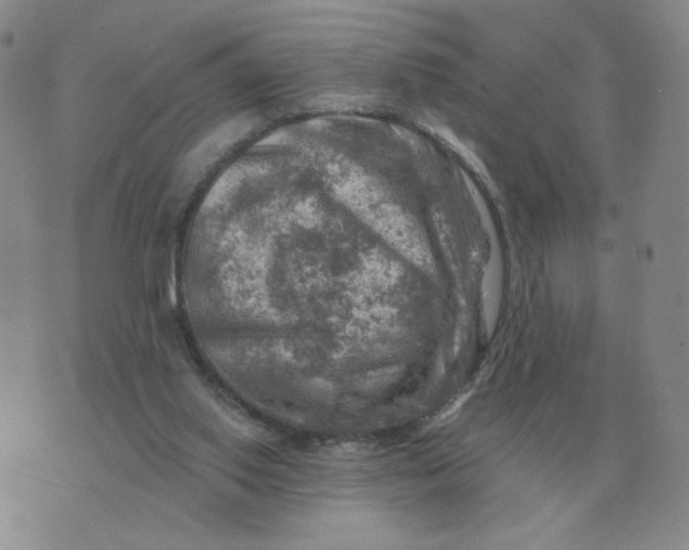 X0000074340062200609152132