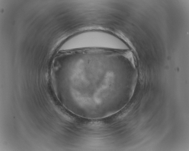 X0000074340063200609152132