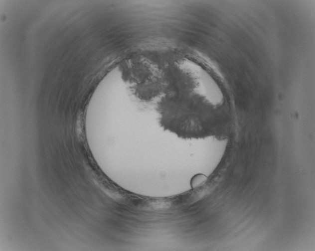 X0000074340065200609152132