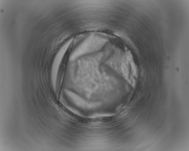 X0000074340066200609152132