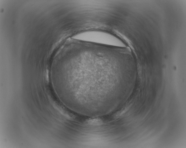 X0000074340067200609152132