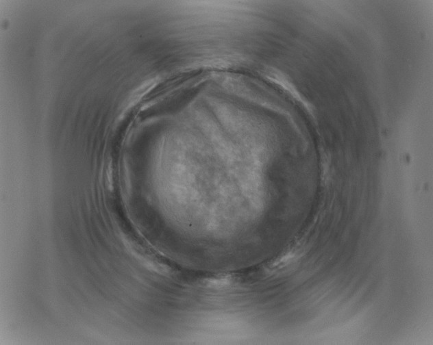 X0000074340068200609152132