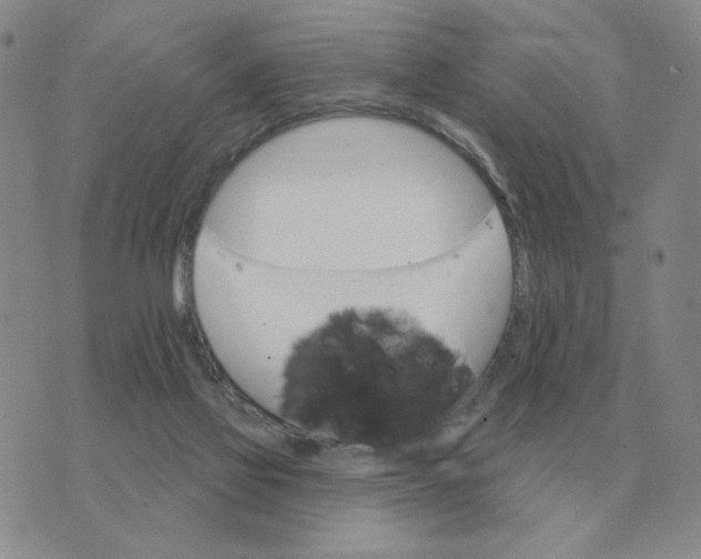 X0000074340069200609152132