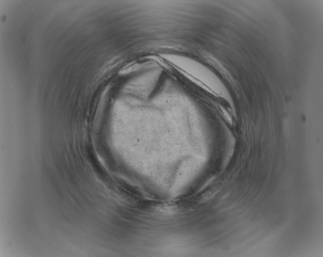 X0000074340071200609152132