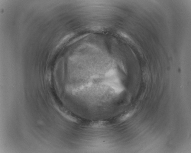 X0000074340072200609152132