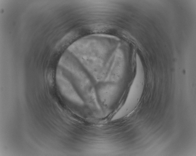 X0000074340074200609152132