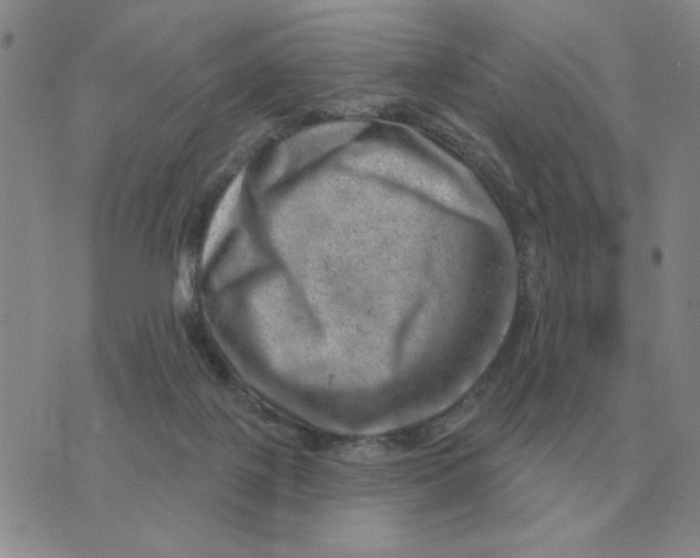 X0000074340075200609152132