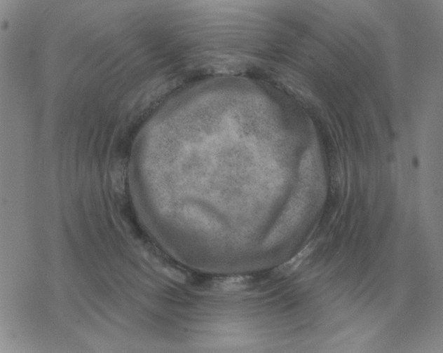 X0000074340078200609152132