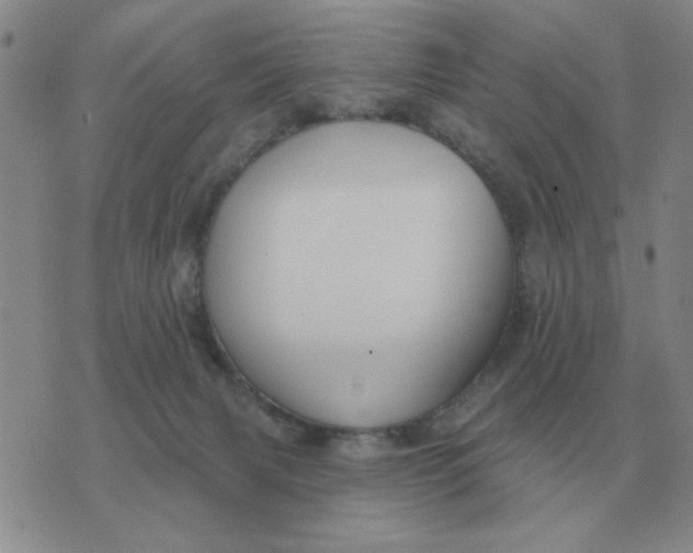 X0000074340079200609152132