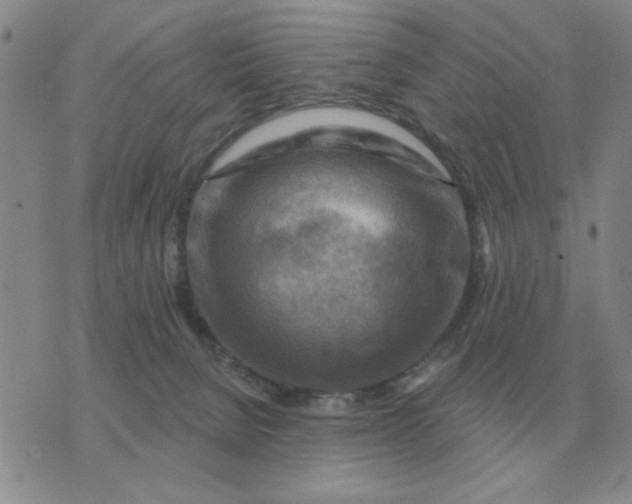 X0000074340080200609152132