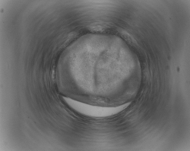 X0000074340081200609152133