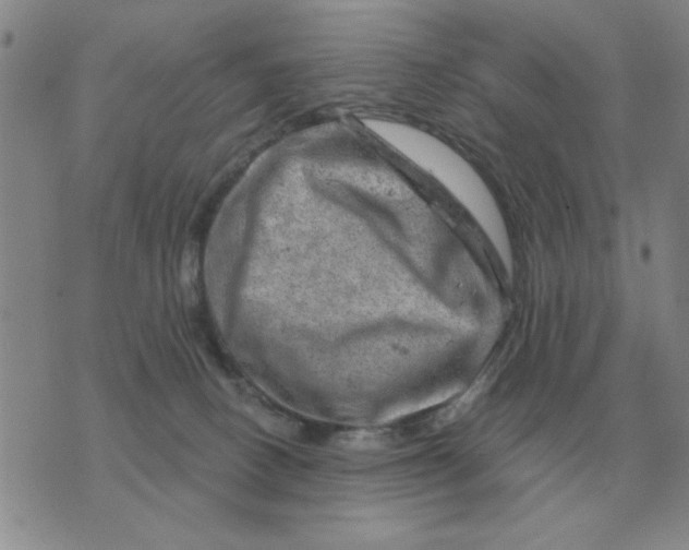 X0000074340082200609152133