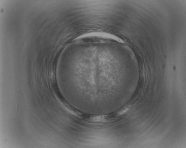 X0000074340084200609152133