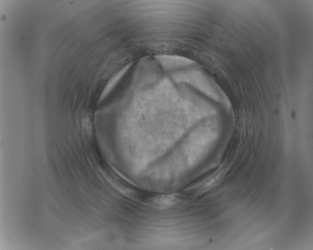 X0000074340086200609152133