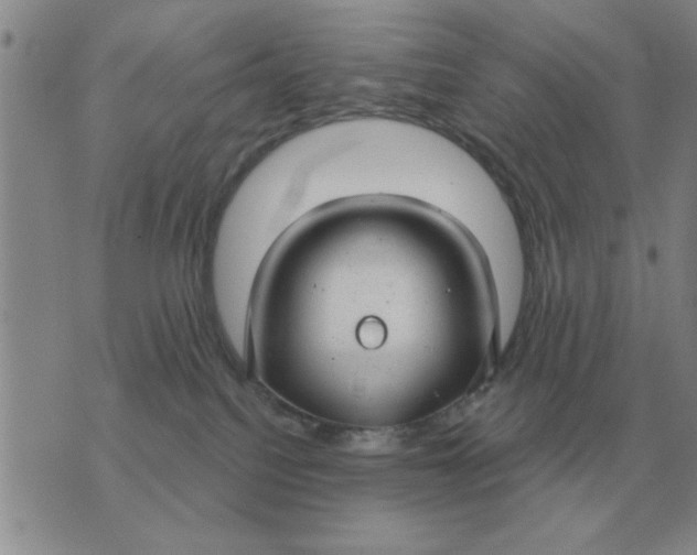 X0000074340088200609152133