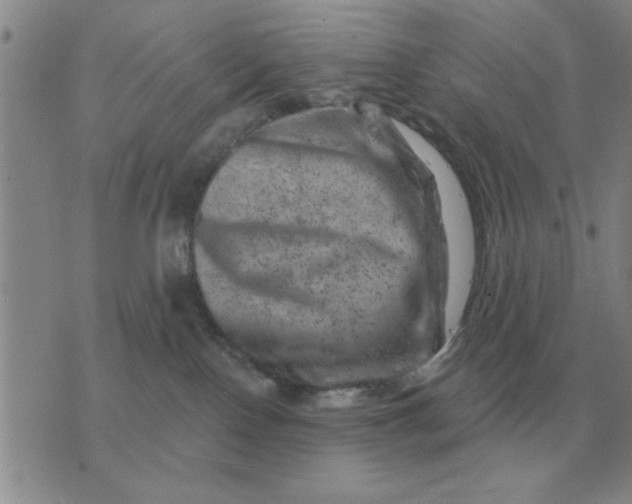 X0000074340090200609152133