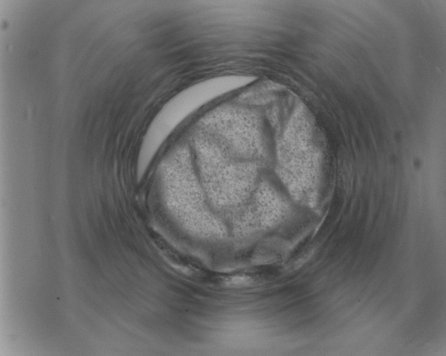 X0000074340091200609152133