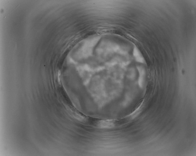 X0000074340094200609152133