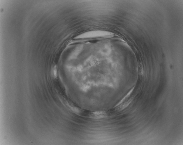 X0000074340095200609152133