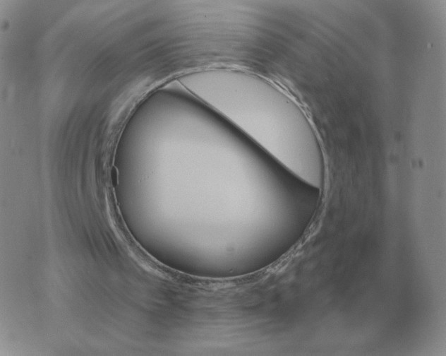 X0000074340097200609152132