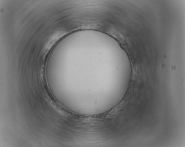 X0000074340098200609152132