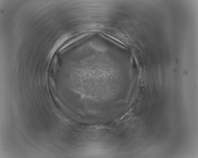 X0000074340099200609152132