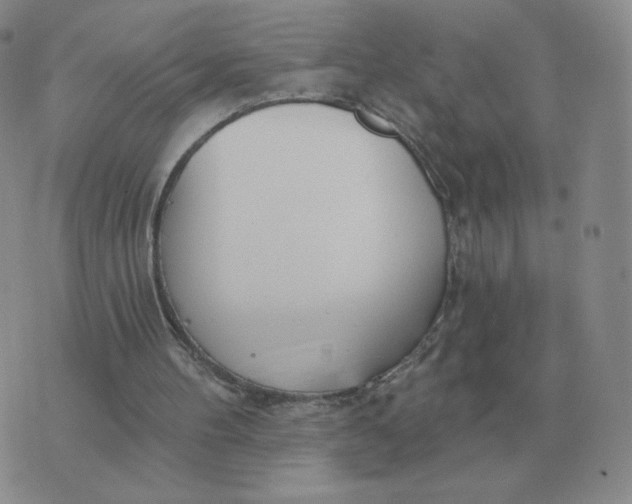 X0000074340100200609152132