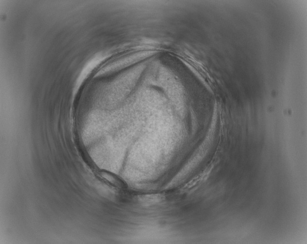 X0000074340102200609152132