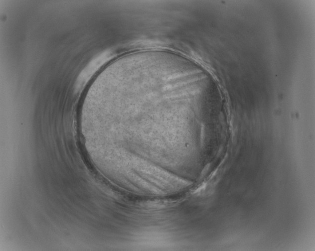 X0000074340103200609152132