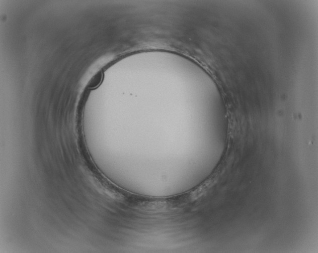 X0000074340104200609152132