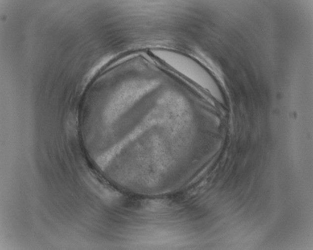 X0000074340107200609152132