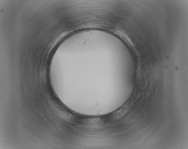 X0000074340108200609152132