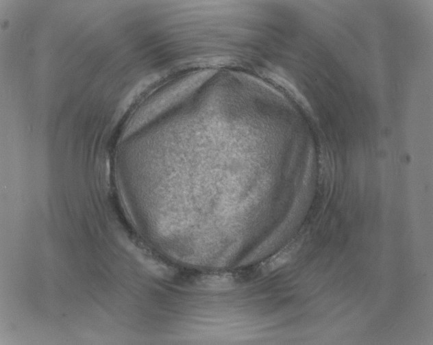 X0000074340110200609152132