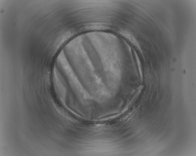 X0000074340111200609152132