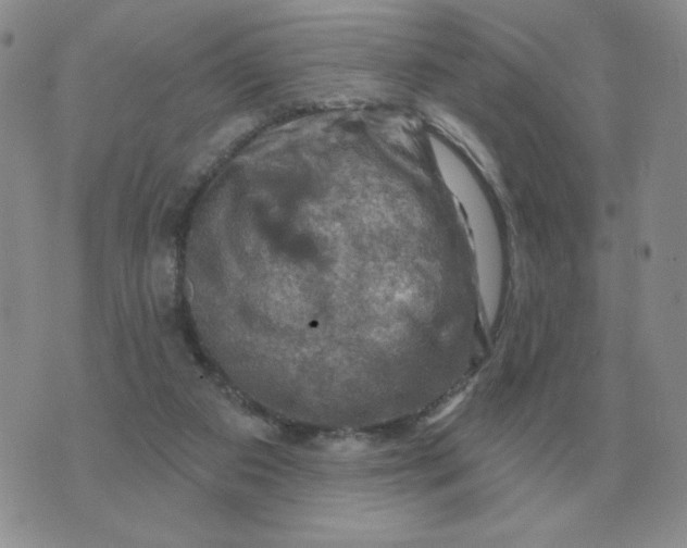 X0000074340113200609152132