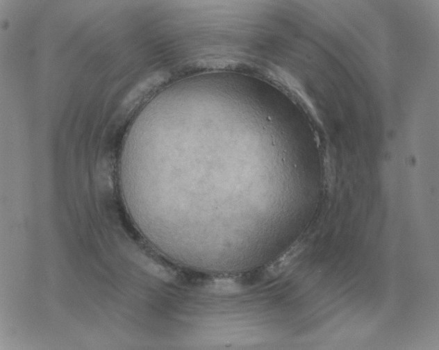 X0000074340114200609152132