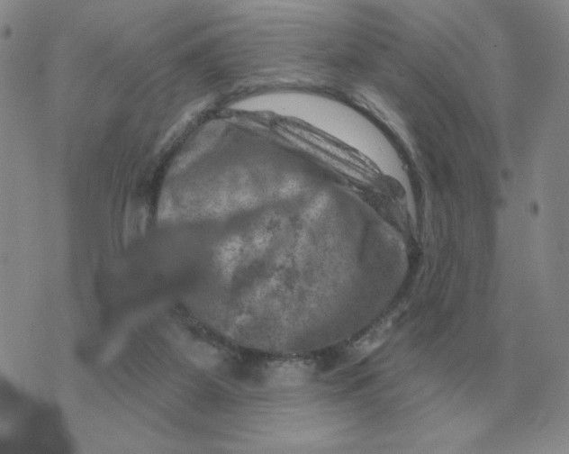 X0000074340115200609152132