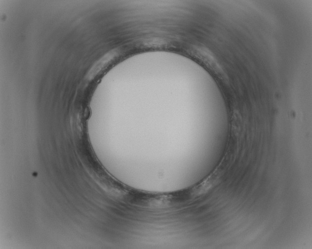 X0000074340116200609152132