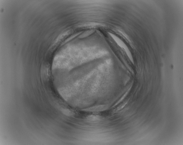 X0000074340119200609152132