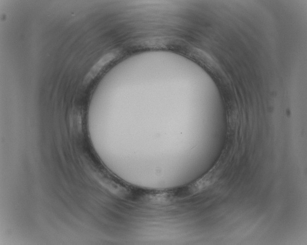 X0000074340120200609152132