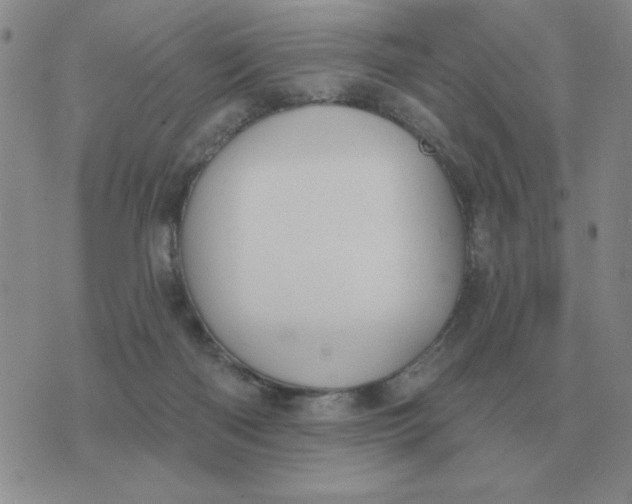 X0000074340122200609152132