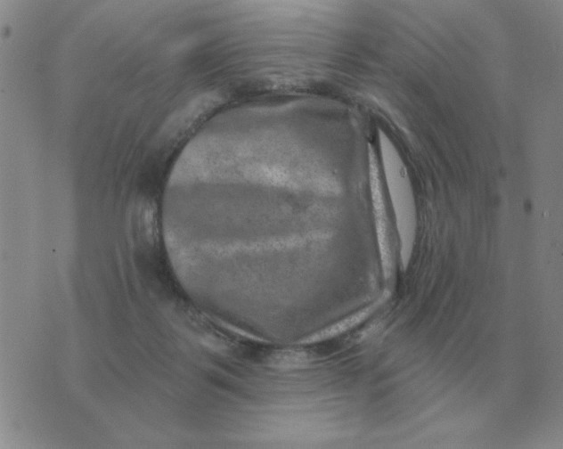 X0000074340123200609152132