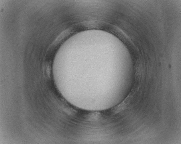 X0000074340124200609152132