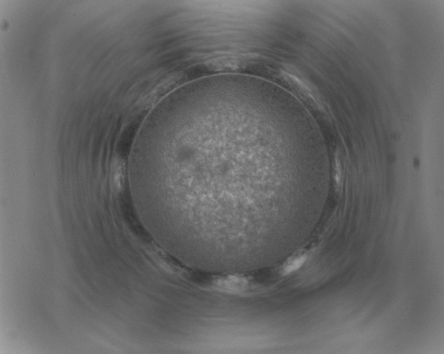 X0000074340125200609152132