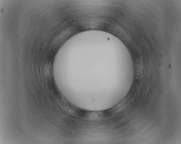 X0000074340126200609152132