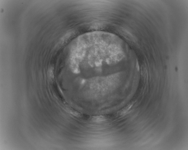 X0000074340127200609152131