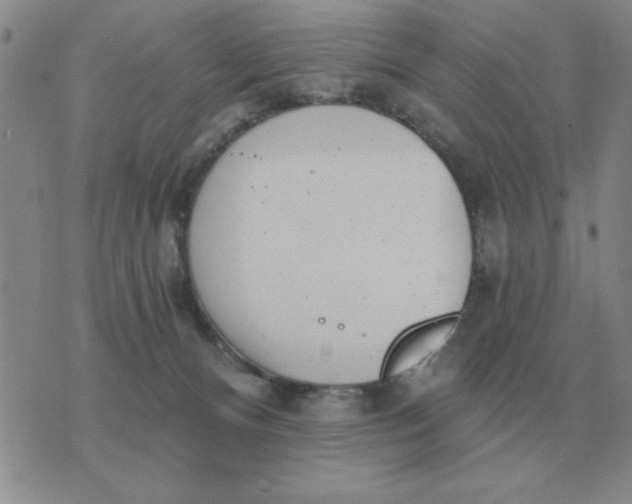 X0000074340128200609152131