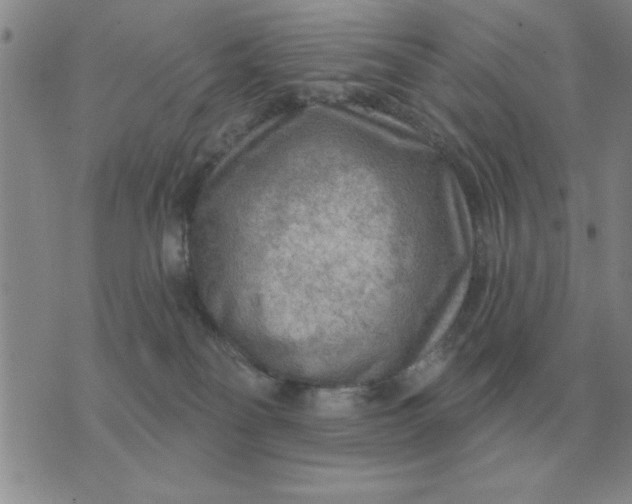 X0000074340134200609152131